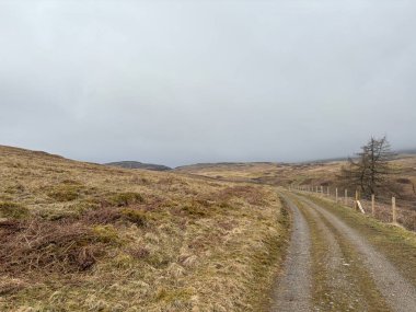 İskoç kırlarını ve tepelerini süpürdü. Perthshire sıradağları. Cnoc Beithe tepesi. Otlaklar, koyunlar ve akan su. Dağlık nehir bulutlu vahşi yerleri yakıyor.