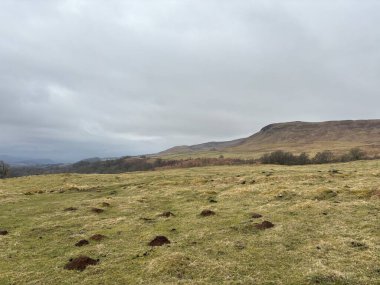 İskoç kırlarını ve tepelerini süpürdü. Perthshire sıradağları. Cnoc Beithe tepesi. Otlaklar, koyunlar ve akan su. Dağlık nehir bulutlu vahşi yerleri yakıyor.