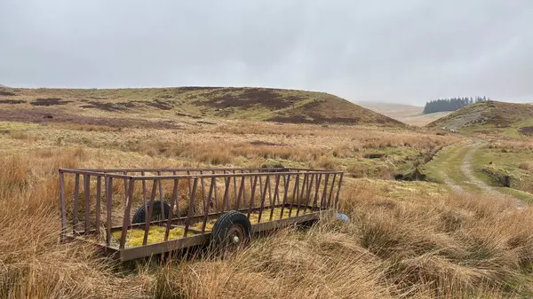 İskoç kırlarını ve tepelerini süpürdü. Perthshire sıradağları. Cnoc Beithe tepesi. Otlaklar, koyunlar ve akan su. Dağlık nehir bulutlu vahşi yerleri yakıyor.