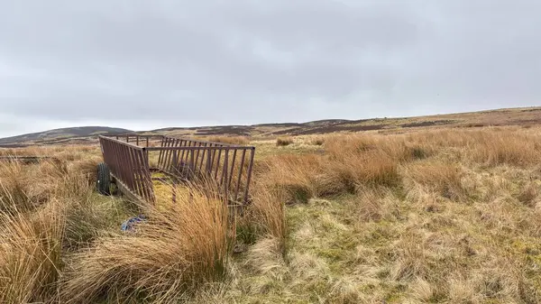 İskoç kırlarını ve tepelerini süpürdü. Perthshire sıradağları. Cnoc Beithe tepesi. Otlaklar, koyunlar ve akan su. Dağlık nehir bulutlu vahşi yerleri yakıyor.