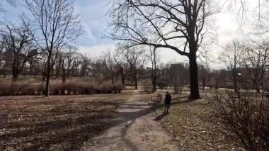 Polonya, Lodz 'daki şehir sokak manzarası. Bu Polonya şehir parkındaki mimari, binalar ve dükkanlar, sokak hayatı şehir manzarası.