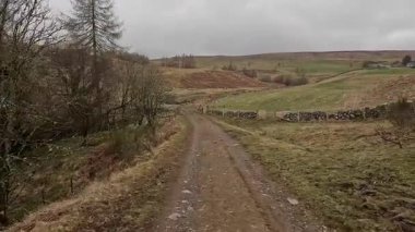 İskoç kırlarını ve tepelerini süpürdü. Perthshire sıradağları. Cnoc Beithe tepesi. Otlaklar, koyunlar ve akan su. Dağlık nehir bulutlu vahşi yerleri yakıyor.