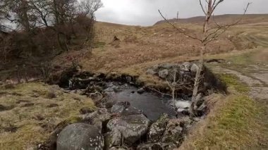 İskoç kırlarını ve tepelerini süpürdü. Perthshire sıradağları. Cnoc Beithe tepesi. Otlaklar, koyunlar ve akan su. Dağlık nehir bulutlu vahşi yerleri yakıyor.