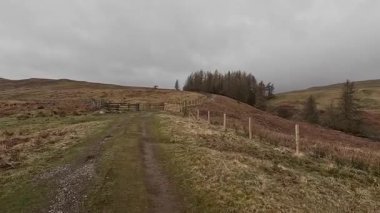 İskoç kırlarını ve tepelerini süpürdü. Perthshire sıradağları. Cnoc Beithe tepesi. Otlaklar, koyunlar ve akan su. Dağlık nehir bulutlu vahşi yerleri yakıyor.