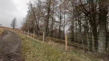 İskoç kırlarını ve tepelerini süpürdü. Perthshire sıradağları. Cnoc Beithe tepesi. Otlaklar, koyunlar ve akan su. Dağlık nehir bulutlu vahşi yerleri yakıyor.