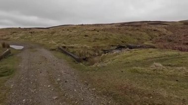 İskoç kırlarını ve tepelerini süpürdü. Perthshire sıradağları. Cnoc Beithe tepesi. Otlaklar, koyunlar ve akan su. Dağlık nehir bulutlu vahşi yerleri yakıyor.