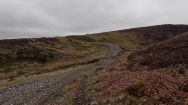 İskoç kırlarını ve tepelerini süpürdü. Perthshire sıradağları. Cnoc Beithe tepesi. Otlaklar, koyunlar ve akan su. Dağlık nehir bulutlu vahşi yerleri yakıyor.