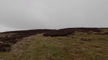 İskoç kırlarını ve tepelerini süpürdü. Perthshire sıradağları. Cnoc Beithe tepesi. Otlaklar, koyunlar ve akan su. Dağlık nehir bulutlu vahşi yerleri yakıyor.