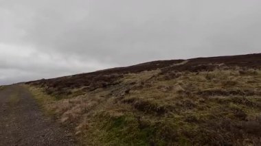 İskoç kırlarını ve tepelerini süpürdü. Perthshire sıradağları. Cnoc Beithe tepesi. Otlaklar, koyunlar ve akan su. Dağlık nehir bulutlu vahşi yerleri yakıyor.