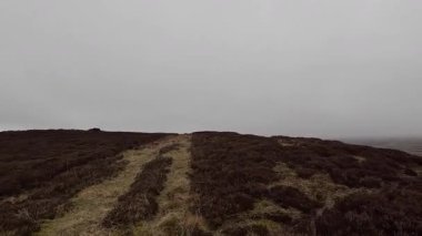 İskoç kırlarını ve tepelerini süpürdü. Perthshire sıradağları. Cnoc Beithe tepesi. Otlaklar, koyunlar ve akan su. Dağlık nehir bulutlu vahşi yerleri yakıyor.