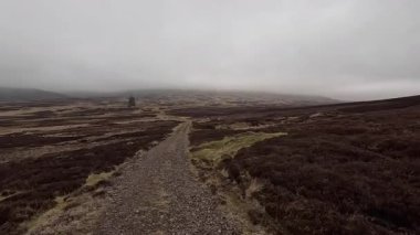 İskoç kırlarını ve tepelerini süpürdü. Perthshire sıradağları. Cnoc Beithe tepesi. Otlaklar, koyunlar ve akan su. Dağlık nehir bulutlu vahşi yerleri yakıyor.