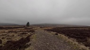 İskoç kırlarını ve tepelerini süpürdü. Perthshire sıradağları. Cnoc Beithe tepesi. Otlaklar, koyunlar ve akan su. Dağlık nehir bulutlu vahşi yerleri yakıyor.