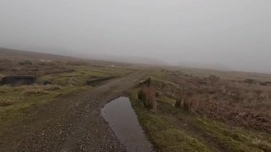İskoç kırlarını ve tepelerini süpürdü. Perthshire sıradağları. Cnoc Beithe tepesi. Otlaklar, koyunlar ve akan su. Dağlık nehir bulutlu vahşi yerleri yakıyor.