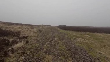 İskoç kırlarını ve tepelerini süpürdü. Perthshire sıradağları. Cnoc Beithe tepesi. Otlaklar, koyunlar ve akan su. Dağlık nehir bulutlu vahşi yerleri yakıyor.