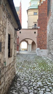 Wawel Kraliyet Kalesi. Pazar Meydanı Eski Belediye Binası. Polonya 'nın Krakow kentinin şehir manzarası. Polonya, ünlü sokak binaları yerleştirdi