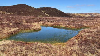 Sulak arazi turbası su birikintisi. Perthshire 'ın İskoç Highlands' ı açık tepeler manzara dağları güzel İskoçya açıklarında yürüyor parlak yaz mevsimleri Munro