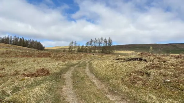 Yamaçtan geçen bir patika. Perthshire 'ın İskoç Highlands' ı açık tepeler manzara dağları güzel İskoçya açıklarında yürüyor parlak yaz mevsimleri Munro