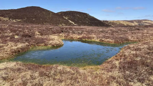Sulak arazi turbası su birikintisi. Perthshire 'ın İskoç Highlands' ı açık tepeler manzara dağları güzel İskoçya açıklarında yürüyor parlak yaz mevsimleri Munro