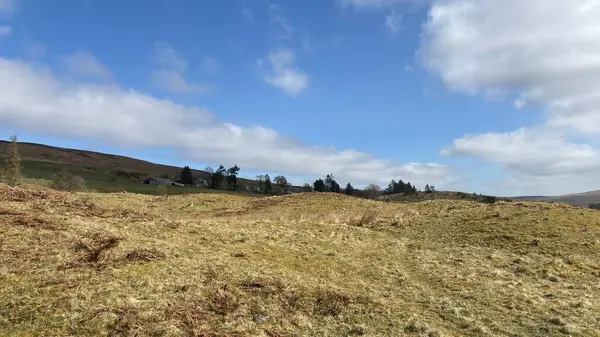 Perthshire 'ın İskoç Highlands' ı açık tepeler manzara dağları güzel İskoçya açıklarında yürüyor parlak yaz mevsimleri Munro