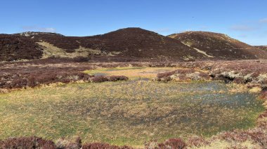 Sulak arazi turbası su birikintisi. Perthshire 'ın İskoç Highlands' ı açık tepeler manzara dağları güzel İskoçya açıklarında yürüyor parlak yaz mevsimleri Munro
