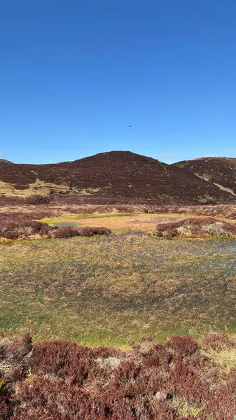 Sulak arazi turbası su birikintisi. Perthshire 'ın İskoç Highlands' ı açık tepeler manzara dağları güzel İskoçya açıklarında yürüyor parlak yaz mevsimleri Munro