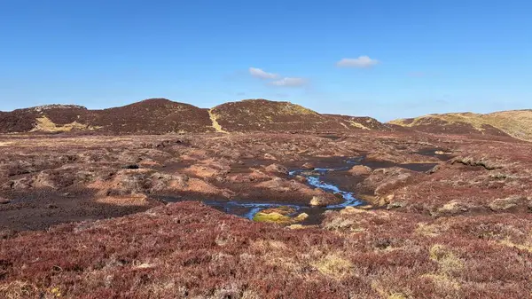 Sulak arazi turbası su birikintisi. Perthshire 'ın İskoç Highlands' ı açık tepeler manzara dağları güzel İskoçya açıklarında yürüyor parlak yaz mevsimleri Munro