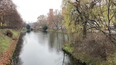 Wrocaw. Polonya 'nın Wroclaw şehrinin şehir manzarası. Polonya, ünlü sokak binaları yerleştirdi