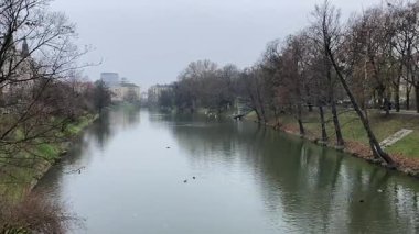 Wrocaw. Polonya 'nın Wroclaw şehrinin şehir manzarası. Polonya, ünlü sokak binaları yerleştirdi