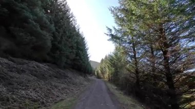 Glen Devon 'da Perthshire' daki Loch Tarret Barajı 'nın yanında yürüyorum. İskoç kırları ve tepeleri. Dağ sırası. Otlaklar, koyunlar ve akan su. İskoçya İskoç nehri aydınlık güneşli bir günde vahşi yerleri yakar.