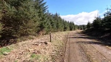 Glen Devon 'da Perthshire' daki Loch Tarret Barajı 'nın yanında yürüyorum. İskoç kırları ve tepeleri. Dağ sırası. Otlaklar, koyunlar ve akan su. İskoçya İskoç nehri aydınlık güneşli bir günde vahşi yerleri yakar.