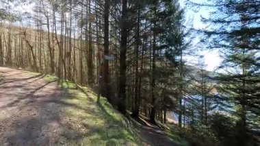 Glen Devon 'da Perthshire' daki Loch Tarret Barajı 'nın yanında yürüyorum. İskoç kırları ve tepeleri. Dağ sırası. Otlaklar, koyunlar ve akan su. İskoçya İskoç nehri aydınlık güneşli bir günde vahşi yerleri yakar.