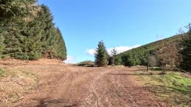 Glen Devon 'da Perthshire' daki Loch Tarret Barajı 'nın yanında yürüyorum. İskoç kırları ve tepeleri. Dağ sırası. Otlaklar, koyunlar ve akan su. İskoçya İskoç nehri aydınlık güneşli bir günde vahşi yerleri yakar.