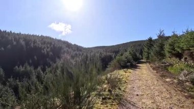 Glen Devon 'da Perthshire' daki Loch Tarret Barajı 'nın yanında yürüyorum. İskoç kırları ve tepeleri. Dağ sırası. Otlaklar, koyunlar ve akan su. İskoçya İskoç nehri aydınlık güneşli bir günde vahşi yerleri yakar.