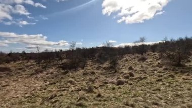 Glen Devon 'da Perthshire' daki Loch Tarret Barajı 'nın yanında yürüyorum. İskoç kırları ve tepeleri. Dağ sırası. Otlaklar, koyunlar ve akan su. İskoçya İskoç nehri aydınlık güneşli bir günde vahşi yerleri yakar.