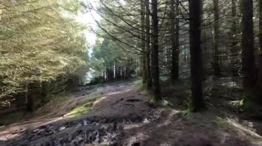 Glen Devon 'da Perthshire' daki Loch Tarret Barajı 'nın yanında yürüyorum. İskoç kırları ve tepeleri. Dağ sırası. Otlaklar, koyunlar ve akan su. İskoçya İskoç nehri aydınlık güneşli bir günde vahşi yerleri yakar.