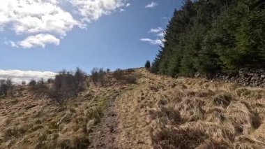 Glen Devon 'da Perthshire' daki Loch Tarret Barajı 'nın yanında yürüyorum. İskoç kırları ve tepeleri. Dağ sırası. Otlaklar, koyunlar ve akan su. İskoçya İskoç nehri aydınlık güneşli bir günde vahşi yerleri yakar.