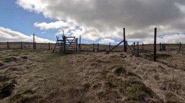Glen Devon 'da Perthshire' daki Loch Tarret Barajı 'nın yanında yürüyorum. İskoç kırları ve tepeleri. Dağ sırası. Otlaklar, koyunlar ve akan su. İskoçya İskoç nehri aydınlık güneşli bir günde vahşi yerleri yakar.