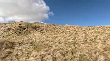 Glen Devon 'da Perthshire' daki Loch Tarret Barajı 'nın yanında yürüyorum. İskoç kırları ve tepeleri. Dağ sırası. Otlaklar, koyunlar ve akan su. İskoçya İskoç nehri aydınlık güneşli bir günde vahşi yerleri yakar.