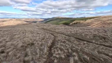 Glen Devon 'da Perthshire' daki Loch Tarret Barajı 'nın yanında yürüyorum. İskoç kırları ve tepeleri. Dağ sırası. Otlaklar, koyunlar ve akan su. İskoçya İskoç nehri aydınlık güneşli bir günde vahşi yerleri yakar.