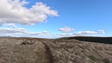 Glen Devon 'da Perthshire' daki Loch Tarret Barajı 'nın yanında yürüyorum. İskoç kırları ve tepeleri. Dağ sırası. Otlaklar, koyunlar ve akan su. İskoçya İskoç nehri aydınlık güneşli bir günde vahşi yerleri yakar.