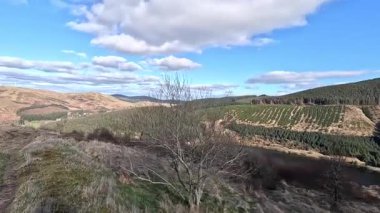 Glen Devon 'da Perthshire' daki Loch Tarret Barajı 'nın yanında yürüyorum. İskoç kırları ve tepeleri. Dağ sırası. Otlaklar, koyunlar ve akan su. İskoçya İskoç nehri aydınlık güneşli bir günde vahşi yerleri yakar.
