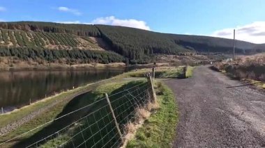 Glen Devon 'da Perthshire' daki Loch Tarret Barajı 'nın yanında yürüyorum. İskoç kırları ve tepeleri. Dağ sırası. Otlaklar, koyunlar ve akan su. İskoçya İskoç nehri aydınlık güneşli bir günde vahşi yerleri yakar.