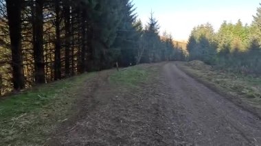Glen Devon 'da Perthshire' daki Loch Tarret Barajı 'nın yanında yürüyorum. İskoç kırları ve tepeleri. Dağ sırası. Otlaklar, koyunlar ve akan su. İskoçya İskoç nehri aydınlık güneşli bir günde vahşi yerleri yakar.