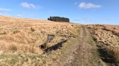 Perthshire dağlarında İskoç yamaç yürüyüşü. Geniş açık İskoçya vahşi doğası yuvarlanan tepeleri açıyor. Uzun mesafe yürüyüşü macerası.