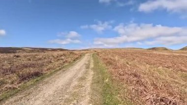 Perthshire dağlarında İskoç yamaç yürüyüşü. Geniş açık İskoçya vahşi doğası yuvarlanan tepeleri açıyor. Uzun mesafe yürüyüşü macerası.