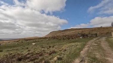 Perthshire dağlarında İskoç yamaç yürüyüşü. Geniş açık İskoçya vahşi doğası yuvarlanan tepeleri açıyor. Uzun mesafe yürüyüşü macerası.