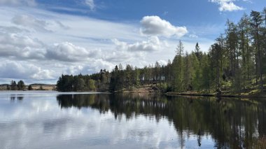 Perthshire dağlarında Loch Meallbrodden İskoç yamaç yürüyüşü. Geniş açık İskoçya vahşi doğası yuvarlanan tepeleri açıyor. Uzun mesafe yürüyüşü macerası.