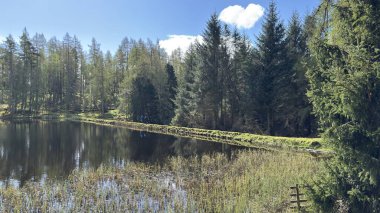 Perthshire dağlarında Loch Meallbrodden İskoç yamaç yürüyüşü. Geniş açık İskoçya vahşi doğası yuvarlanan tepeleri açıyor. Uzun mesafe yürüyüşü macerası.