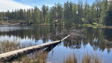 Perthshire dağlarında Loch Meallbrodden İskoç yamaç yürüyüşü. Geniş açık İskoçya vahşi doğası yuvarlanan tepeleri açıyor. Uzun mesafe yürüyüşü macerası.