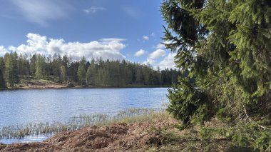 Perthshire dağlarında Loch Meallbrodden İskoç yamaç yürüyüşü. Geniş açık İskoçya vahşi doğası yuvarlanan tepeleri açıyor. Uzun mesafe yürüyüşü macerası.